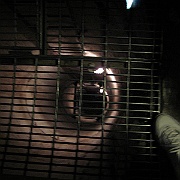 Picture 012